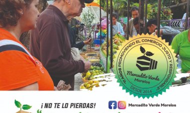 Invitan a una nueva edición del Mercadito Verde en Chapultepec