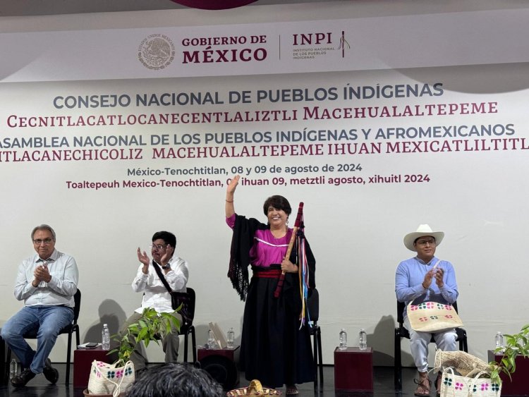 Urge cerrar brechas de desigualdad en  los pueblos indígenas: Guillermina Maya