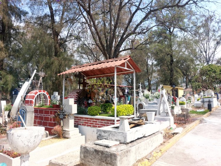 Piden no llevar agua a panteones por dengue