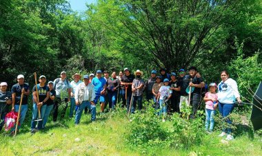 Se impulsan acciones para la  reforestación en Tlaltizapán