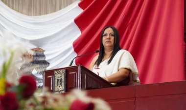 Morena no modificará la  Ley Orgánica del Congreso