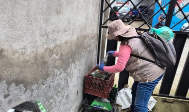 Combate SSM mosquito del dengue en municipios con más casos