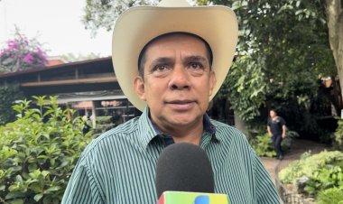 Fueron abandonadas 20  mil hectáreas agrícolas