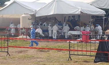 Reanudan exhumaciones en  Panteón Pedro Amaro Jojutla