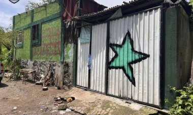 Golpe a narcotienda; cae uno y decomisan drogas y cartuchos