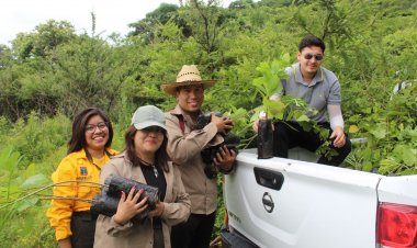 Se reforesta el área natural protegida Sierra Montenegro