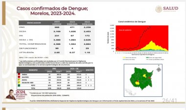 Casi, 3 decenas de muertes acumuladas por dengue