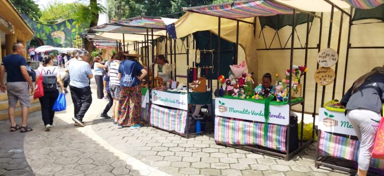 Impulso al comercio local, en  el Mercadito Verde dominical