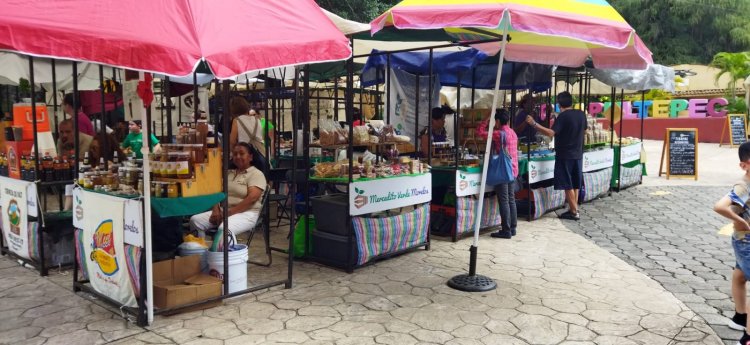 Impulso al comercio local, en  el Mercadito Verde dominical