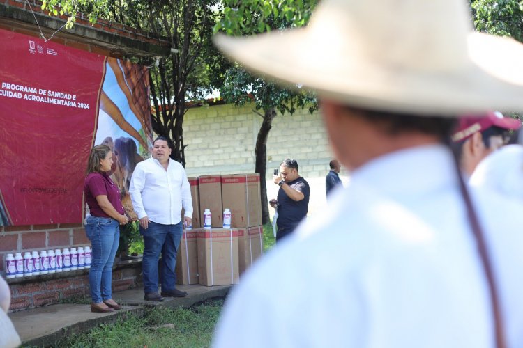 Entregó SEDAGRO insumos a  productores de Puente de Ixtla