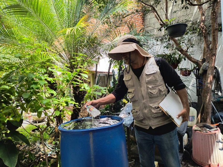 Combate SSM mosquito del dengue en municipios con más casos