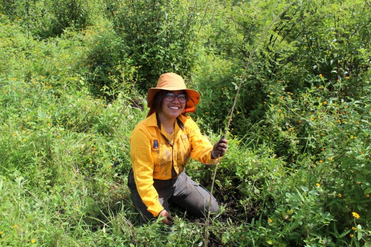 Se reforesta el área natural protegida Sierra Montenegro