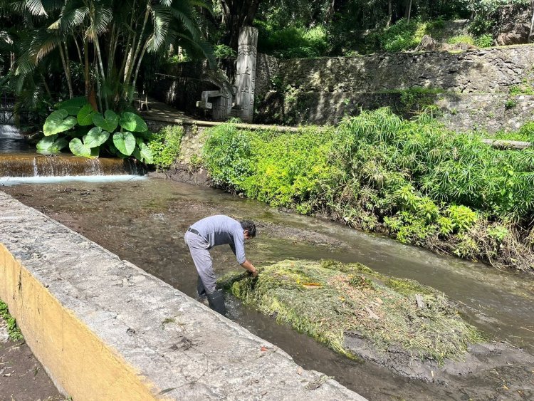 Limpian los cuerpos de agua en  el parque Barranca Chapultepec