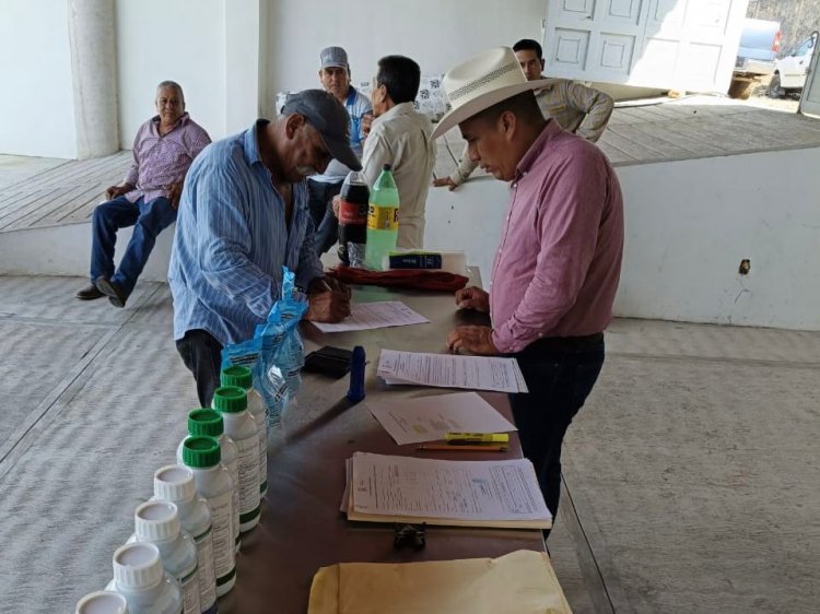 Se respalda a productores   de Miacatlán y Tlaltizapán