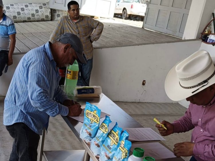 Se respalda a productores   de Miacatlán y Tlaltizapán