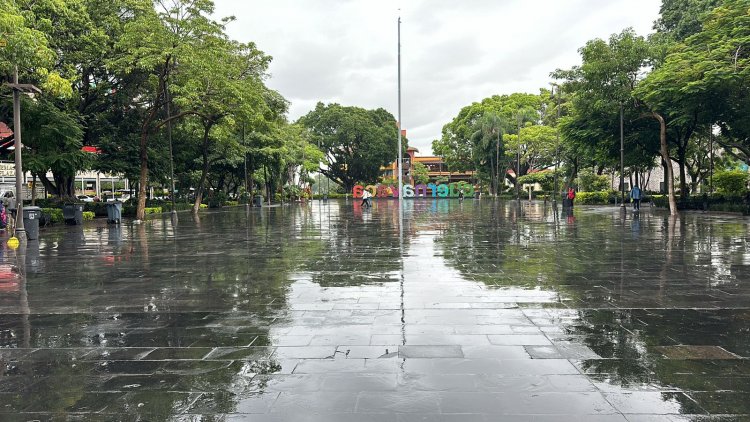 Lluvia genera daños económicos