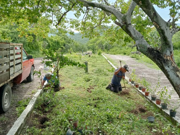 Se establecen jardines para   polinizadores en Las Estacas