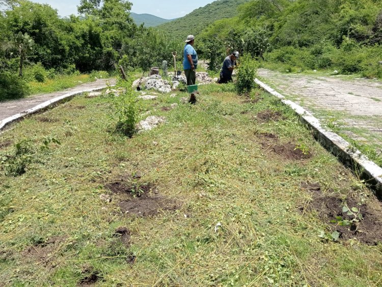 Se establecen jardines para   polinizadores en Las Estacas