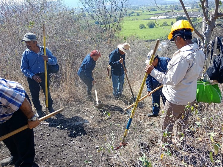 Se protegen los recursos  en el Cerro de la Tortuga