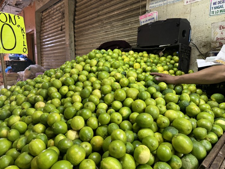 Dolor de cabeza en el ALM por  el precio y la calidad del limón