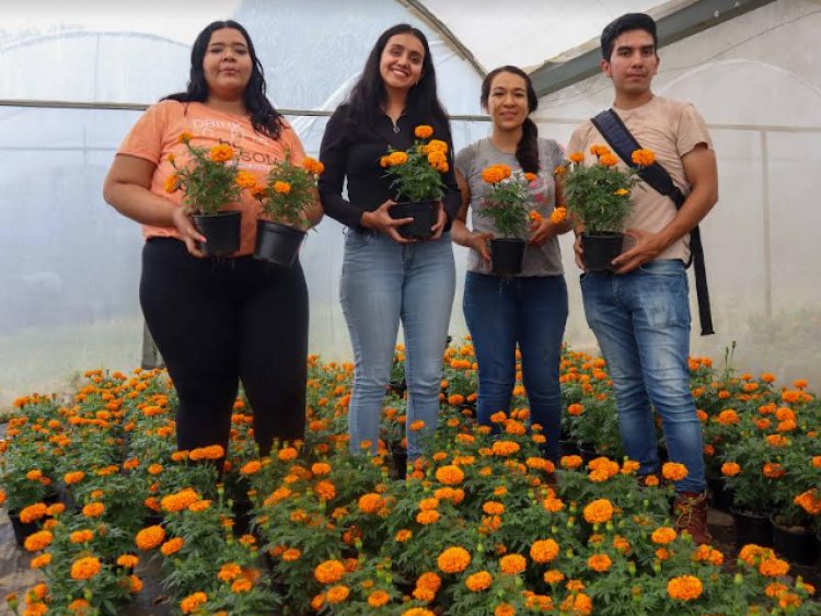 Estudiantes de Agropecuarias   emprenden con cempasúchil