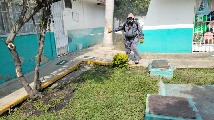 Junto con el estado, en Cuautla,  medidas preventivas Vs. dengue