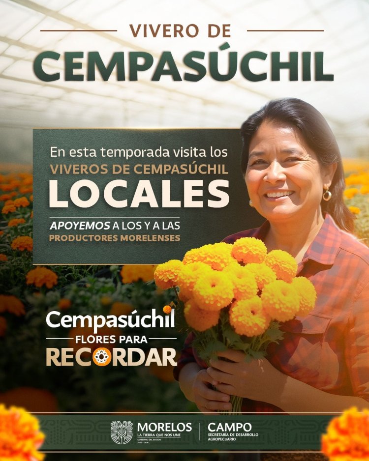 A disposición, gran cantidad del   cempasúchil en mercados varios