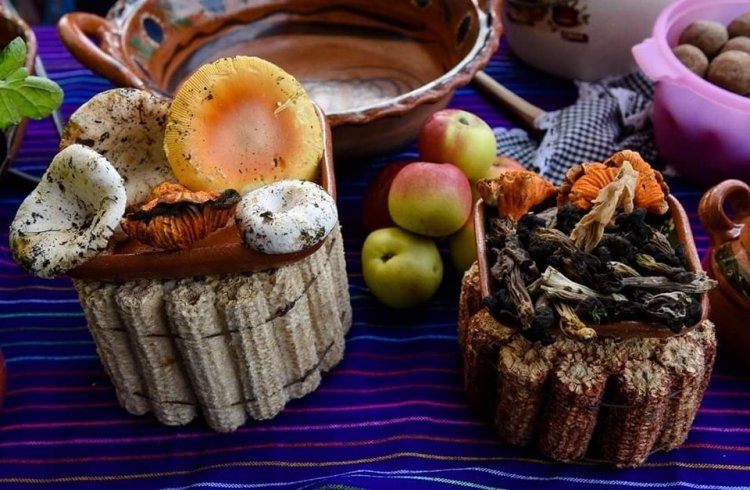 Gastronomía y arte popular son promovidos en el Miqixtli 2024