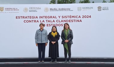 Trabaja Morelos con vecinos  en contra de tala y violencia