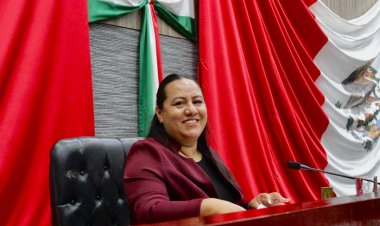 La iniciativa de la ¨Ley Silla¨ fue presentada por la diputada Jazmín Solano