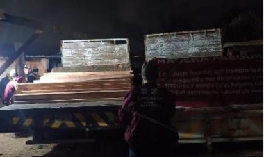 Se dio golpe a taladores que operan entre Morelos y CDMX