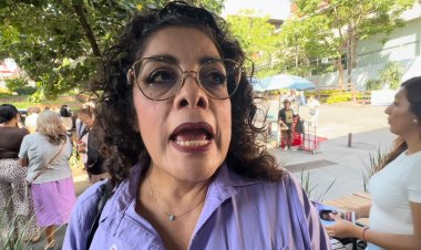 Da su visto bueno la IP a  estrategia de seguridad