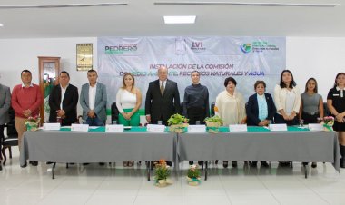 Mueren miles de árboles  en Morelos por descuido