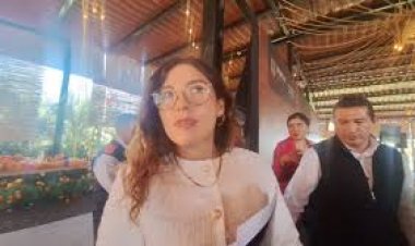 Mas de 150 negocios se suman a ¨Código Violeta¨