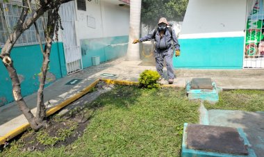 Junto con el estado, en Cuautla, medidas preventivas Vs. dengue