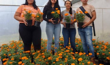 Estudiantes de Agropecuarias   emprenden con cempasúchil