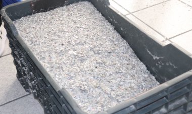 Destruyeron 21 mil 333  credenciales para votar