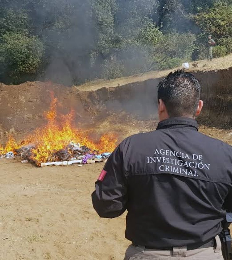 En 4 entidades, casi 2 toneladas de  droga y bienes del delito, destruidos