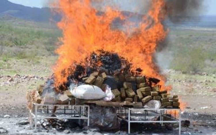 En 4 entidades, casi 2 toneladas de  droga y bienes del delito, destruidos