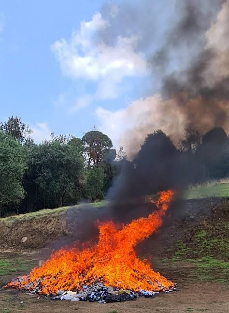 En 4 entidades, casi 2 toneladas de  droga y bienes del delito, destruidos