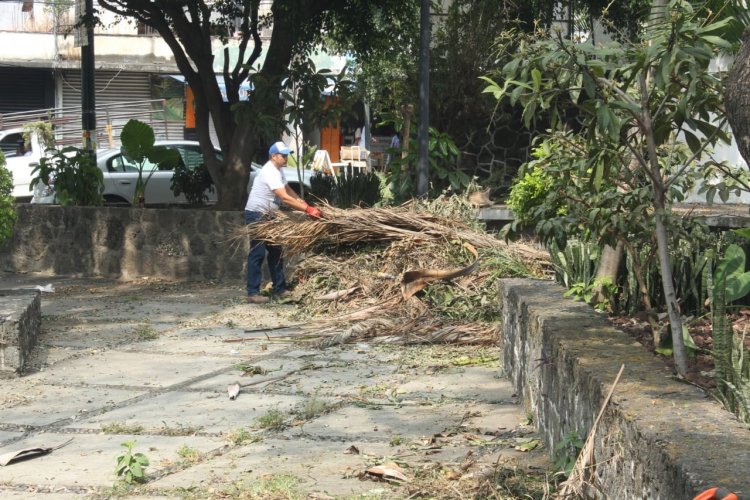 Se retomaron jornadas comunitarias  por mejores espacios en Los Patios