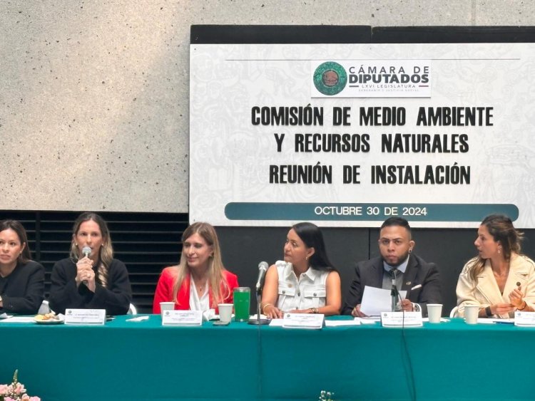 Se fortalecerá la protección al  ambiente junto con el Legislativo