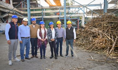 Mantiene Morelos liderazgo  en la producción del azúcar