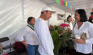 Sigue vigorosa la producción de nochebuena en esta temporada