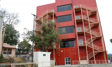 Investigadores de UAEM usan plantas  para remediar suelos contaminados