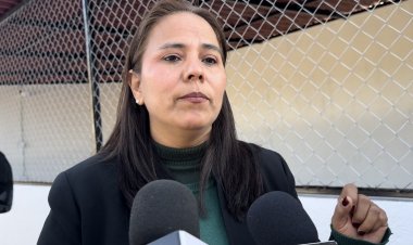 Por abandono de mascotas  ven a más canes callejeros