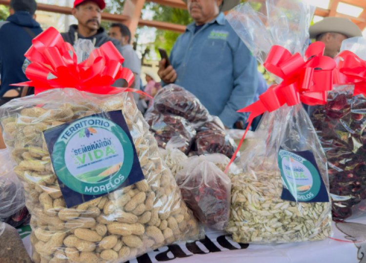 Jojutla, sede de plenaria Sembrando Vida Morelos y Feria Sembrando Vida