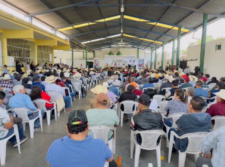 Jojutla, sede de plenaria Sembrando Vida Morelos y Feria Sembrando Vida