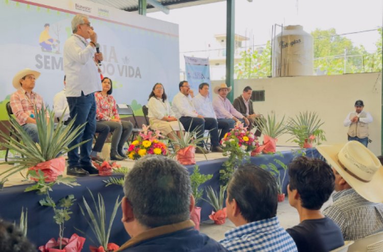 Jojutla, sede de plenaria Sembrando Vida Morelos y Feria Sembrando Vida