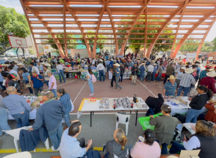 Jojutla, sede de plenaria Sembrando Vida Morelos y Feria Sembrando Vida